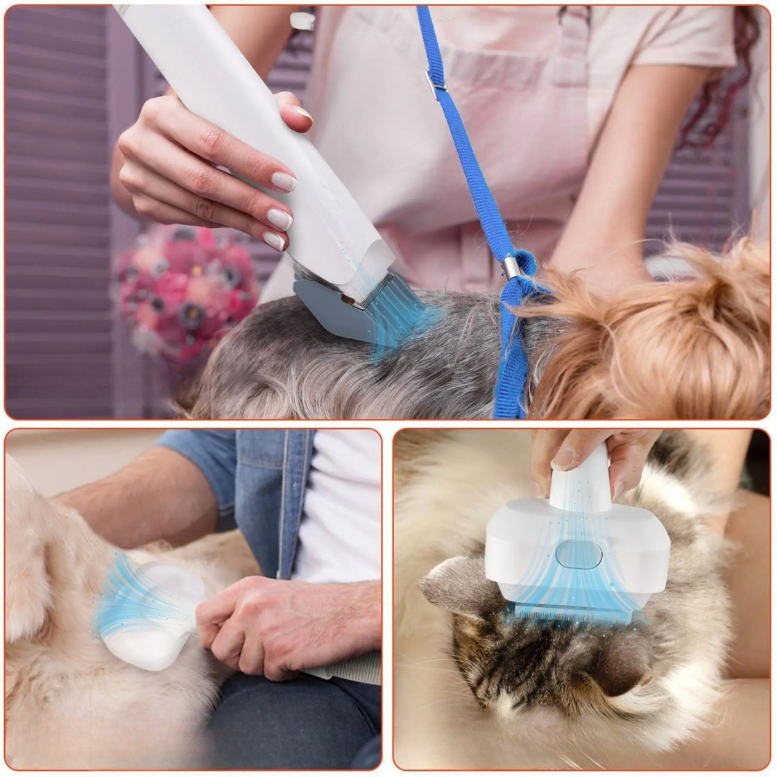 GroomEase™ Kit + FREE Grooming Essentials🤑