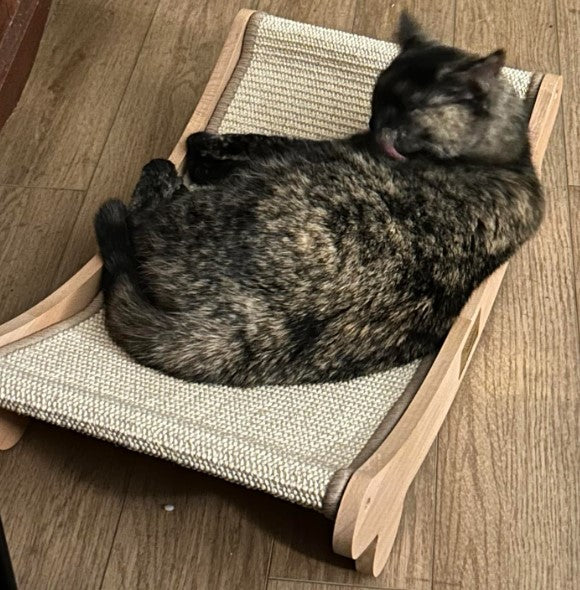 Hammock Scratcher