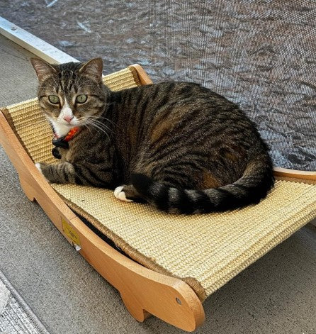 Hammock Scratcher