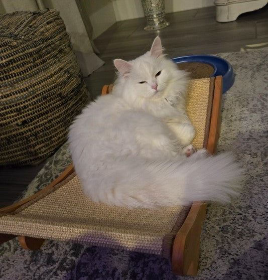 Hammock Scratcher