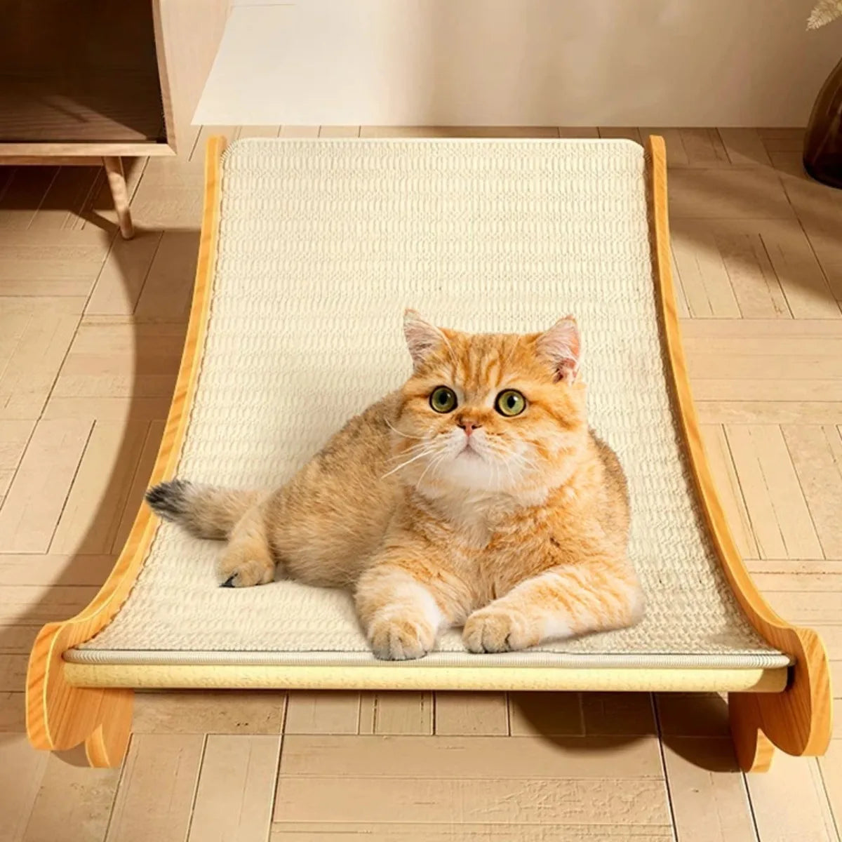 Hammock Scratcher