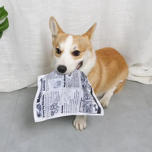 Pawper Times - Chew Toy