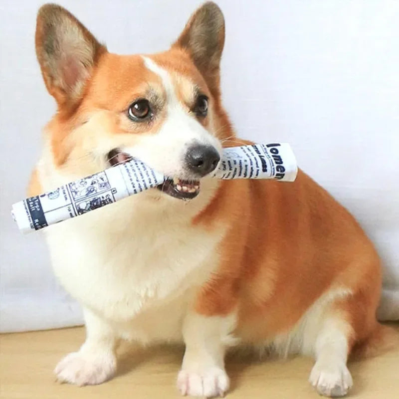 Pawper Times - Chew Toy