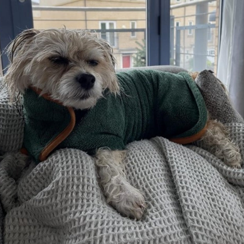 Doggy Dressing Gown