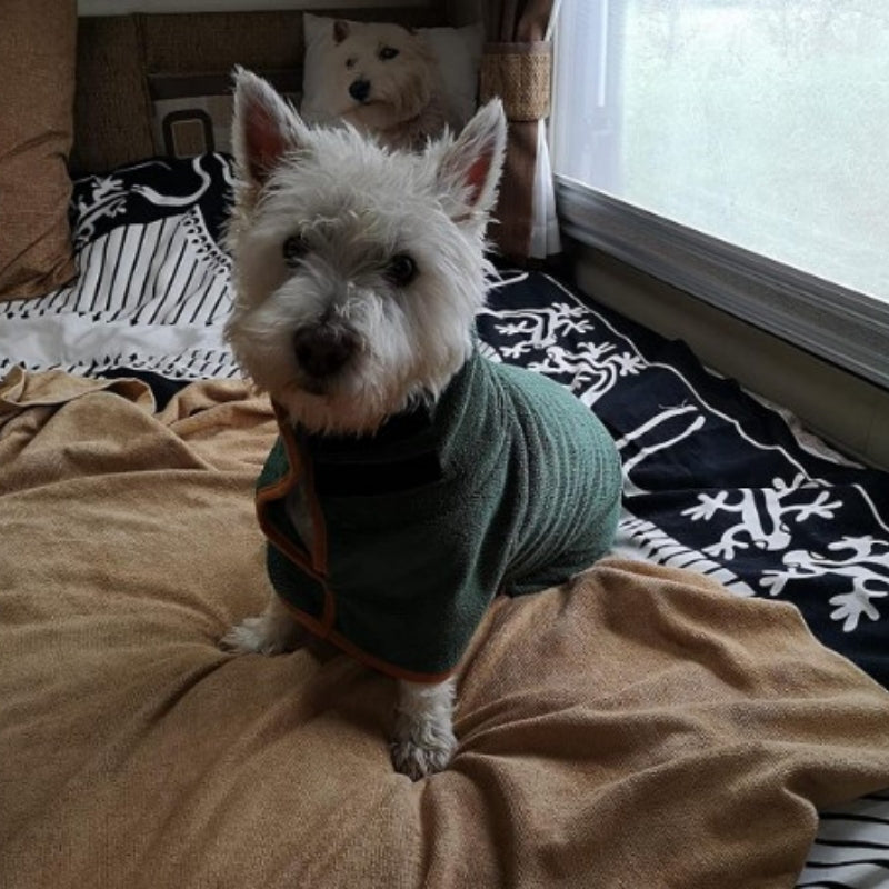 Doggy Dressing Gown