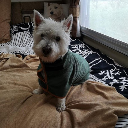 Doggy Dressing Gown
