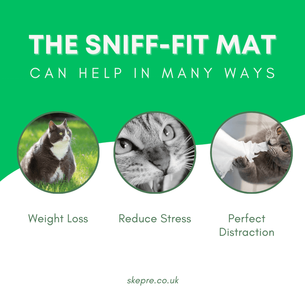 Sniff-Fit Mat