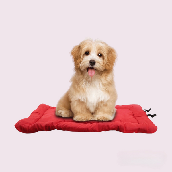 Pet Outdoor Bed