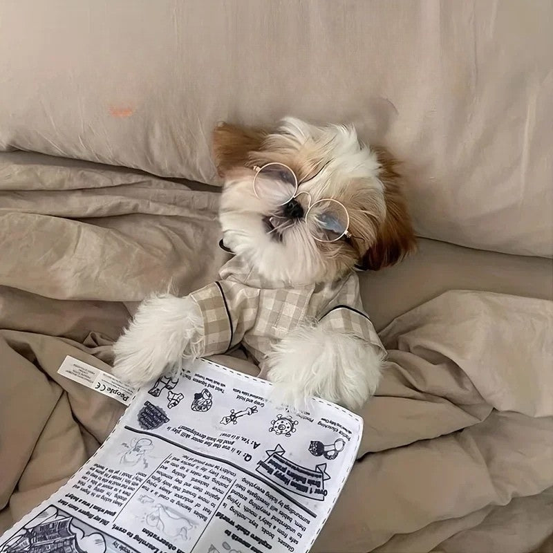 Pawper Times - Chew Toy
