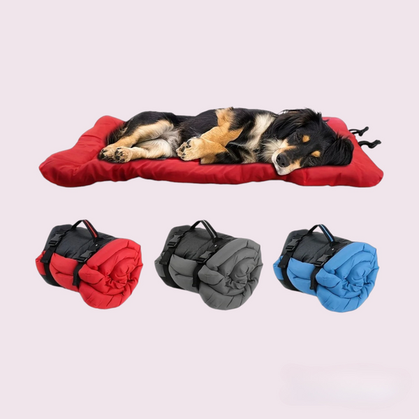 Pet Outdoor Bed