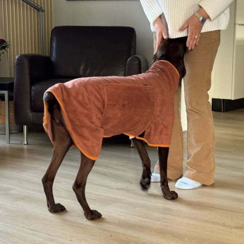 Doggy Dressing Gown
