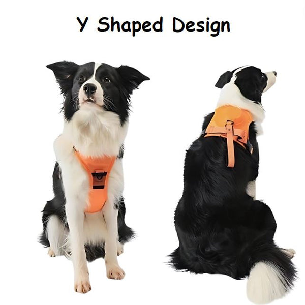 Skepre's PawsOnPoint™ Harness