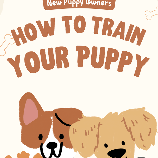 FREE - How to Train Your Puppy