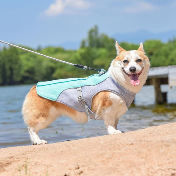 Doggy Cooling Vest