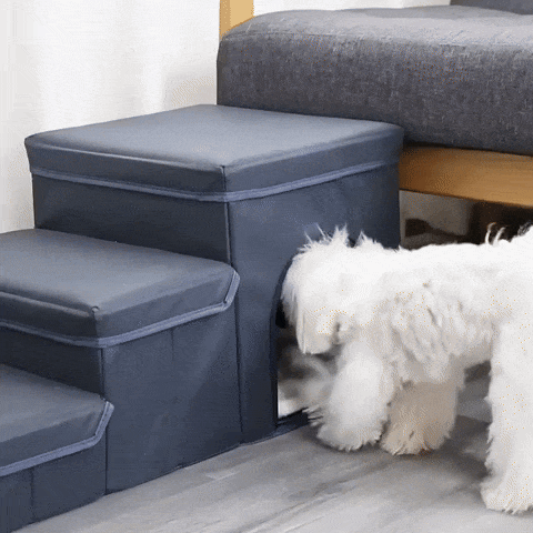 Paws-Up Staircase