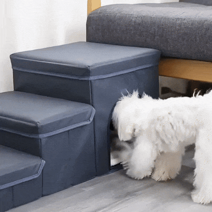 Paws-Up Staircase