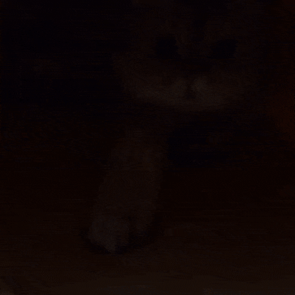 Kitty Popcorn Hut™