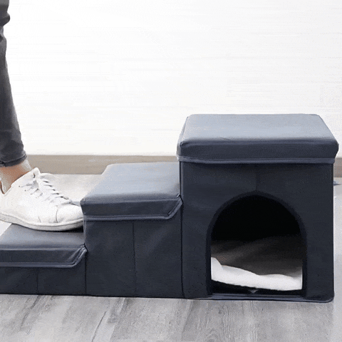 Paws-Up Staircase