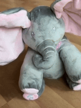 Daisy the Peek-A-Boo Elephant🥰