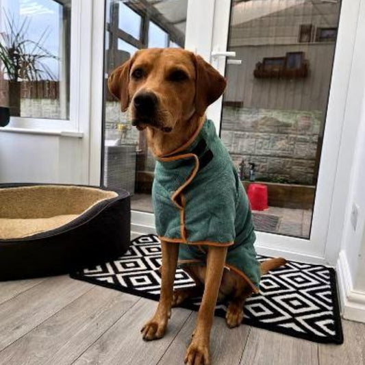 Doggy Dressing Gown