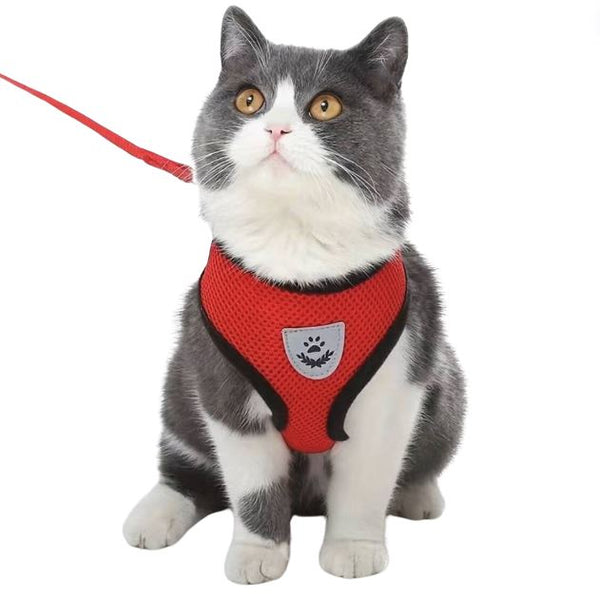 MeowTrek Harness