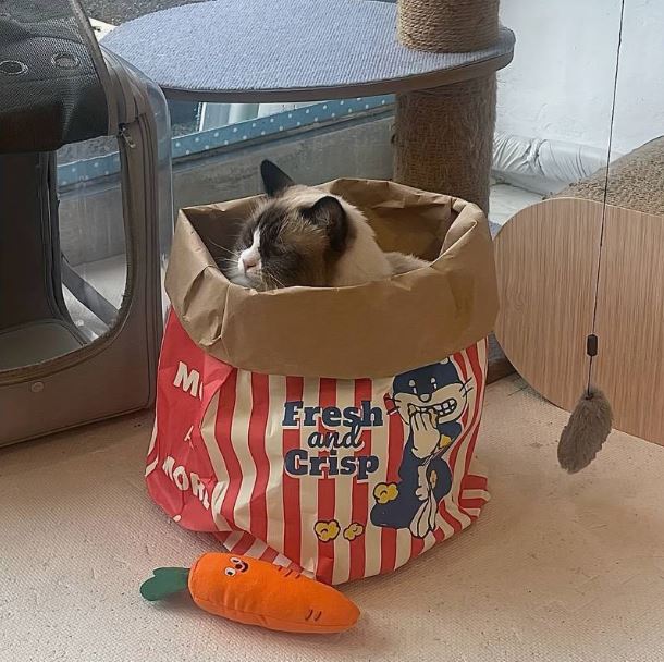 Kitty Popcorn Hut™