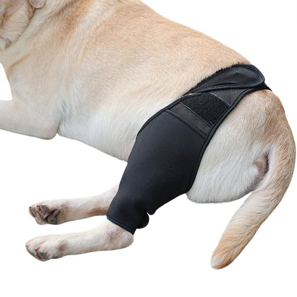 Ambidextral Paw-Brace