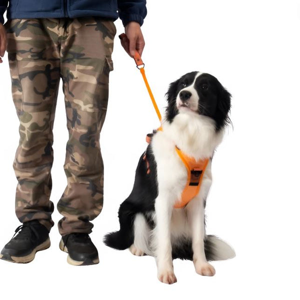 Skepre's PawsOnPoint™ Harness