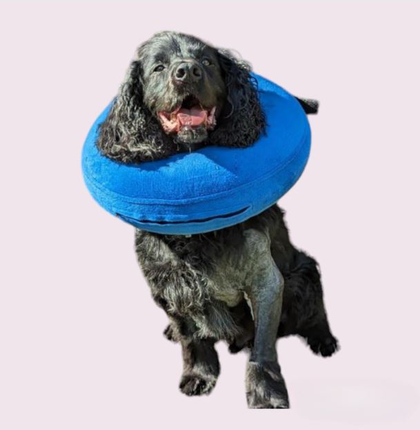 Doggy Neck Pillow
