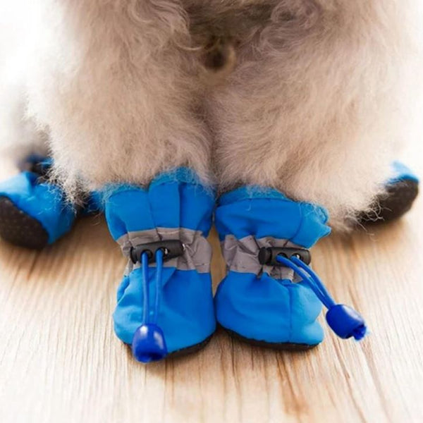 Doggie Wellies For Small to Medium Sized Dogs