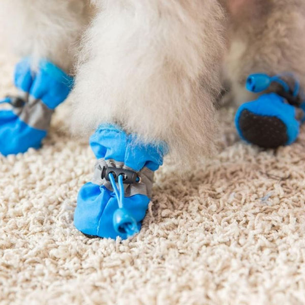 Doggie Wellies For Small to Medium Sized Dogs