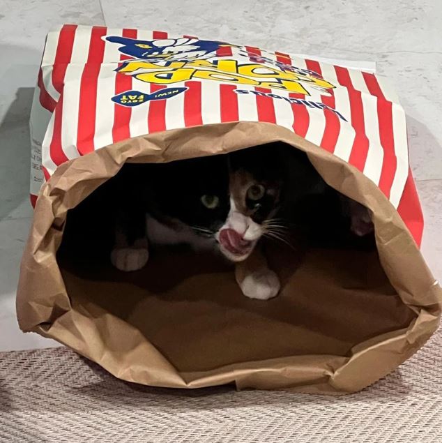 Kitty Popcorn Hut™