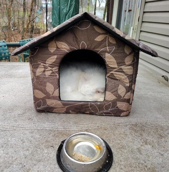 Outdoor Cat Condo