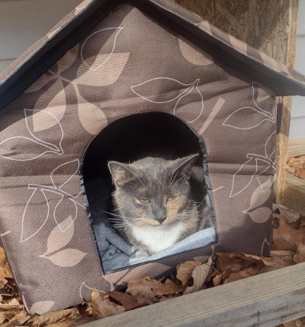 Outdoor Cat Condo