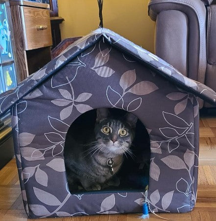 Outdoor Cat Condo