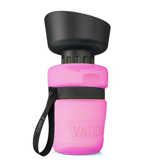 Skepre's Water Bottle