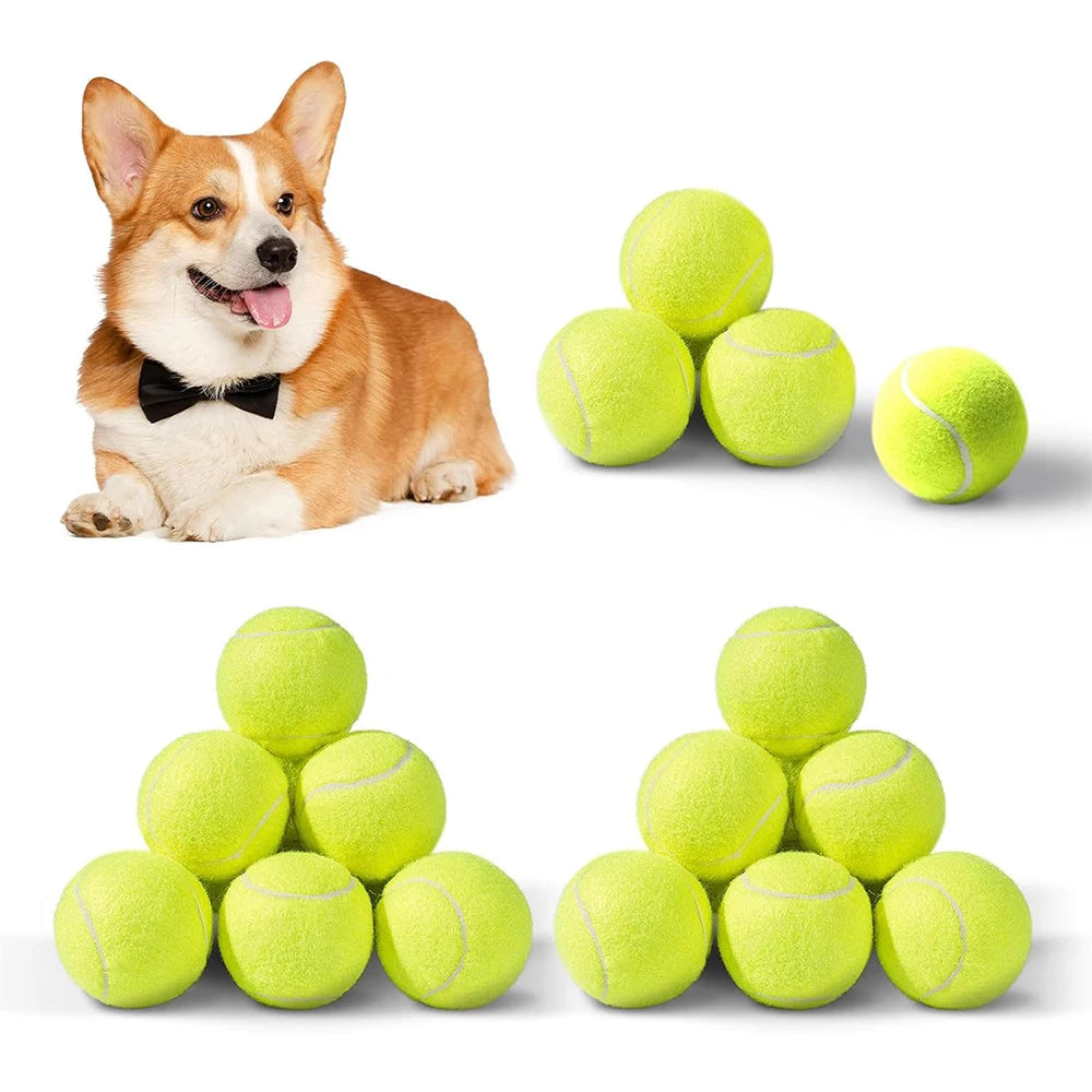 6 Happy-Fetch Balls