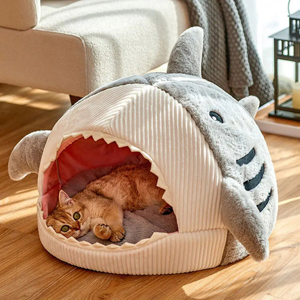 Marco The Great Cat Shark Bed