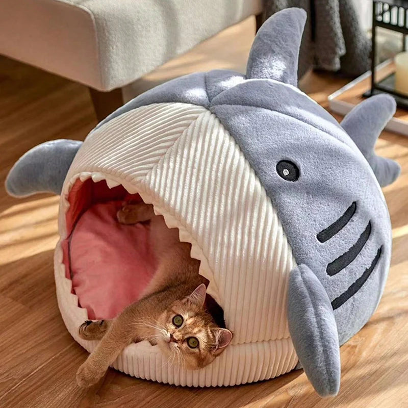 Marco The Great Cat Shark Bed