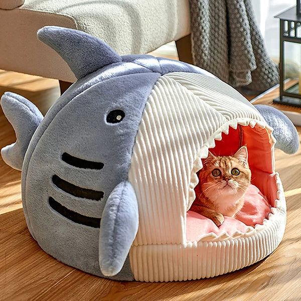 Marco The Great Cat Shark Bed