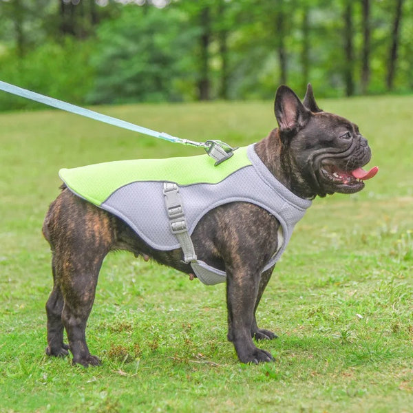 Doggy Cooling Vest