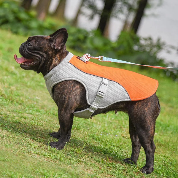 Doggy Cooling Vest