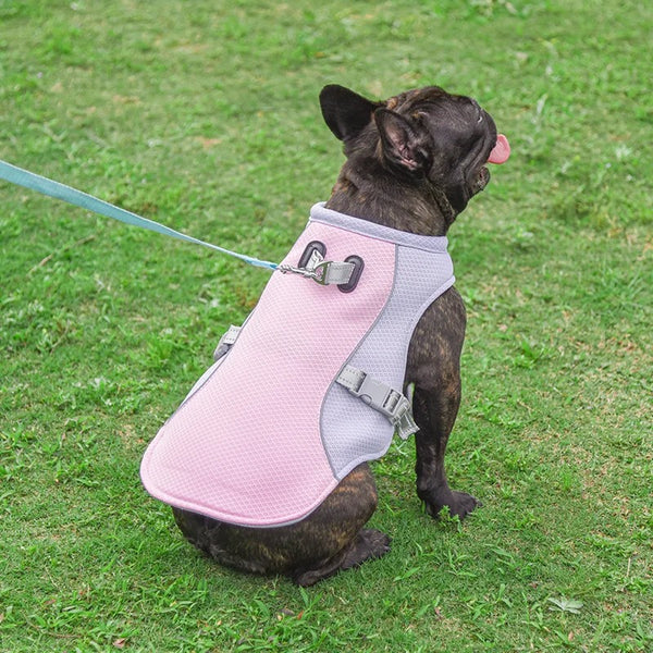 Doggy Cooling Vest