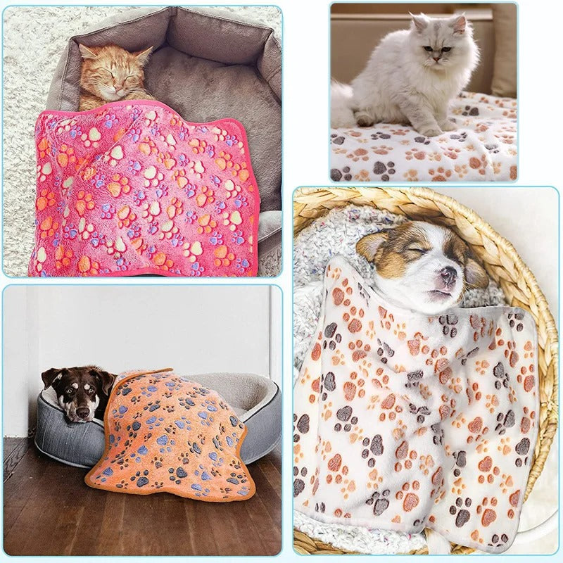 Pet Blanket