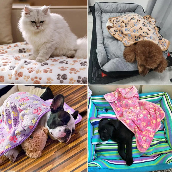 Pet Blanket