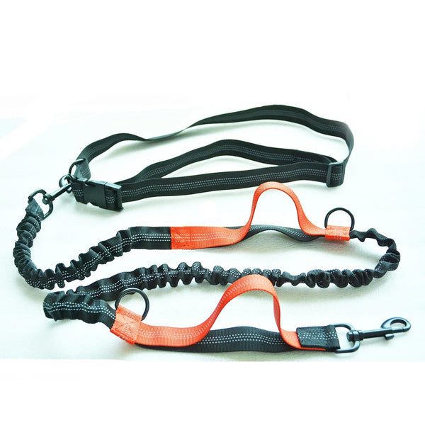 Dog Bungee Leash