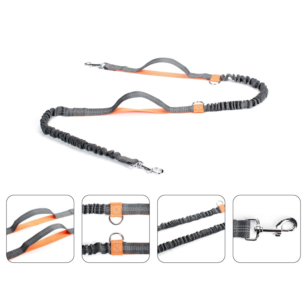 Dog Bungee Leash
