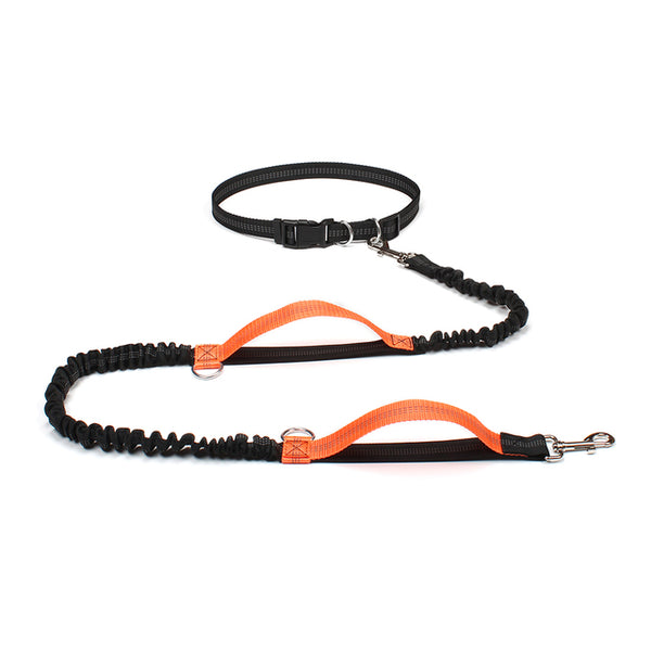 Dog Bungee Leash