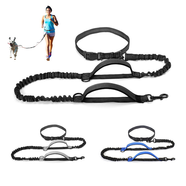 Dog Bungee Leash