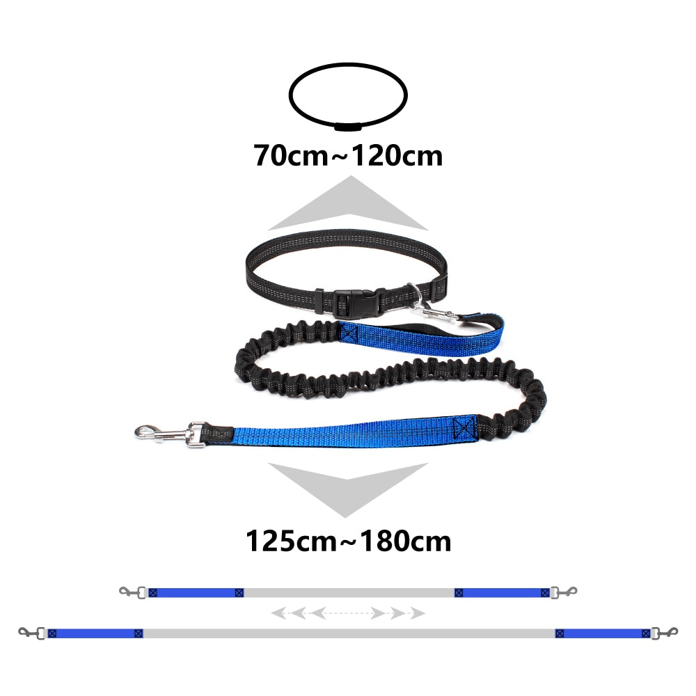 Dog Bungee Leash